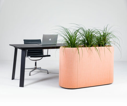BuzziPlanter hero 01 0606