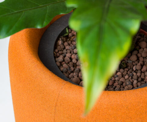 BuzziPlanter hero 03 0500
